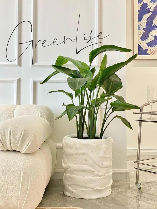 能扔掉？打开思路后妥妥的家居神器啊瓦力棋牌游戏孩子不玩的“黏土”只(图11)